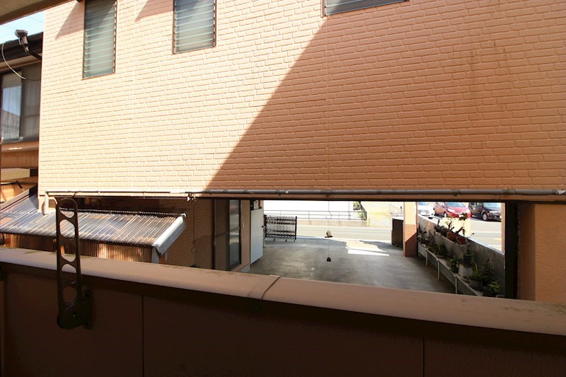 クレフラスト初生 その他5