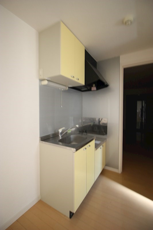 クレフラスト初生 キッチン