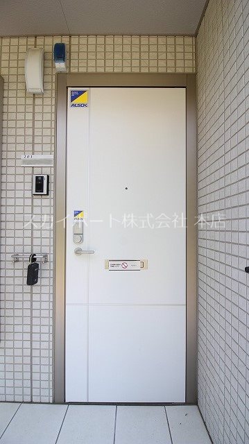 グリシーナB その他7