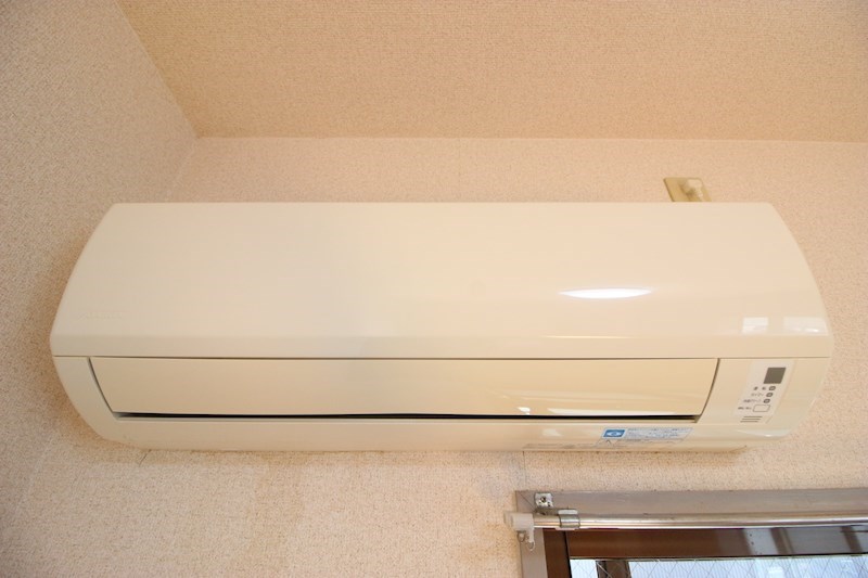 レーディゲン初生 その他13