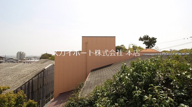 Mコープ その他21