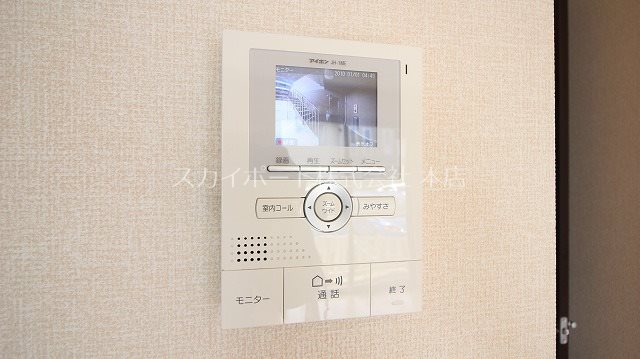 ルーベライト初生B その他3