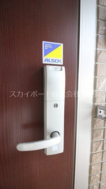 ルーベライト初生B その他8