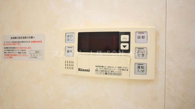 ルーベライト初生B その他12