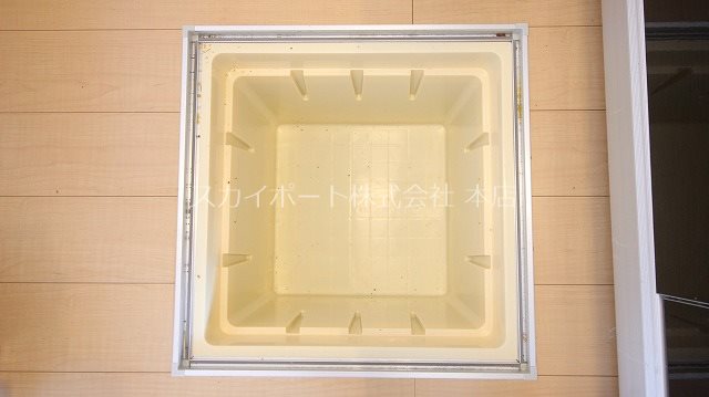 ルーベライト初生B その他17
