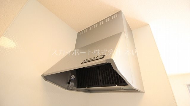 ルーベライト初生B その他19
