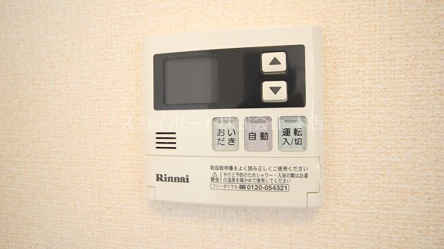 ルーベライト初生B その他20
