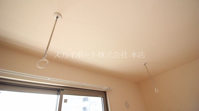 ルーベライト初生B その他22