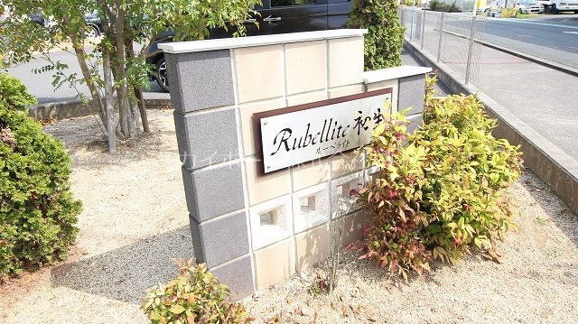 ルーベライト初生B その他31