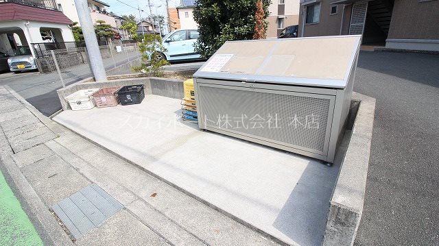 ルーベライト初生B その他33
