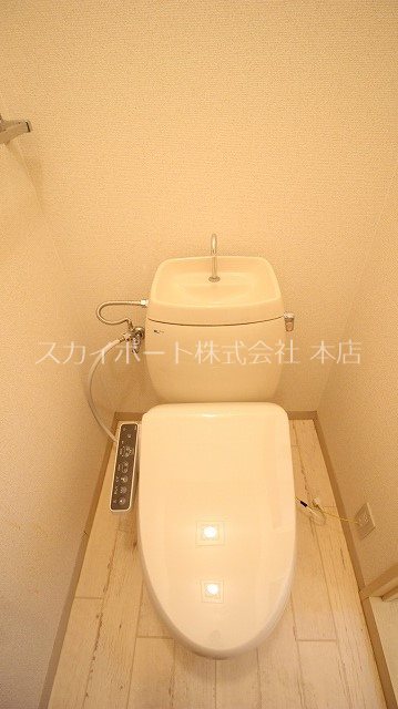 セントポーリア葵B その他2