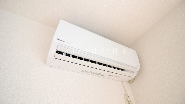 セントポーリア葵B その他4