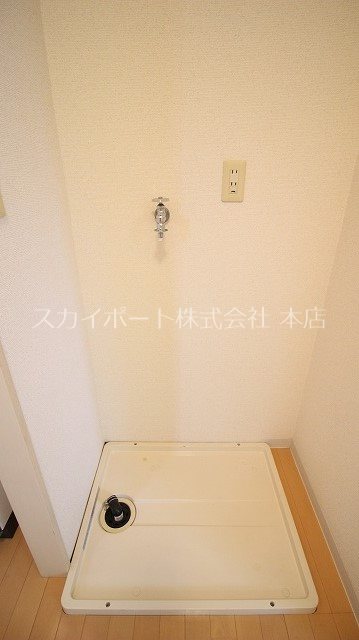 セントポーリア葵B その他9