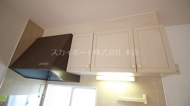 セントポーリア葵B その他13