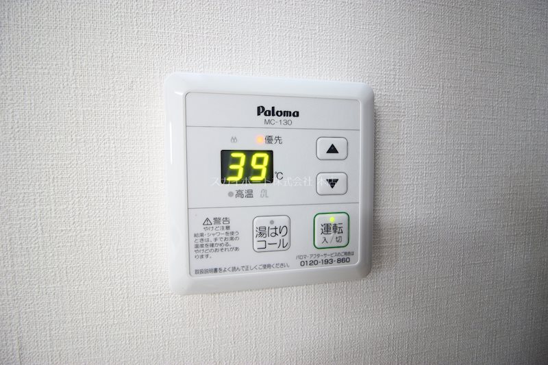 ネフェルティティ その他14
