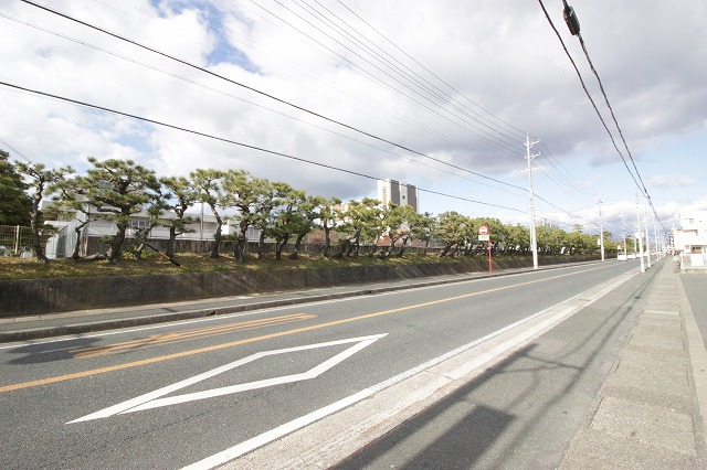 ガンディーノ 周辺画像6