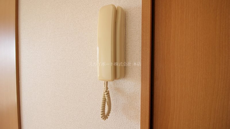 コパンポルテ その他3