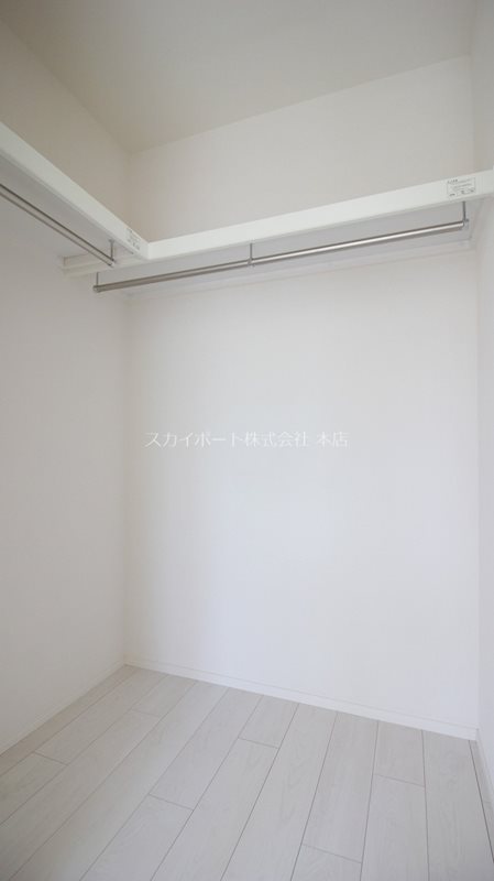ダリア その他5