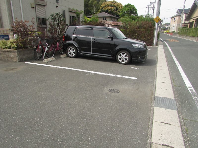 ドミール・ラヴァンド その他9