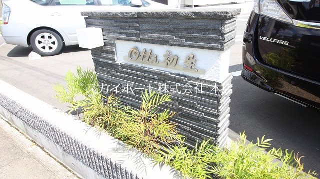 オッツ初生 その他22