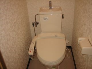 マスカット・Ｓ その他2