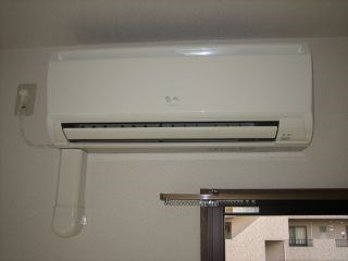 マスカット・Ｓ その他14