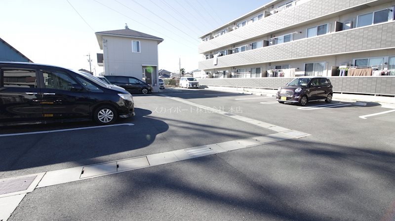 ロゼッタ初生 その他5