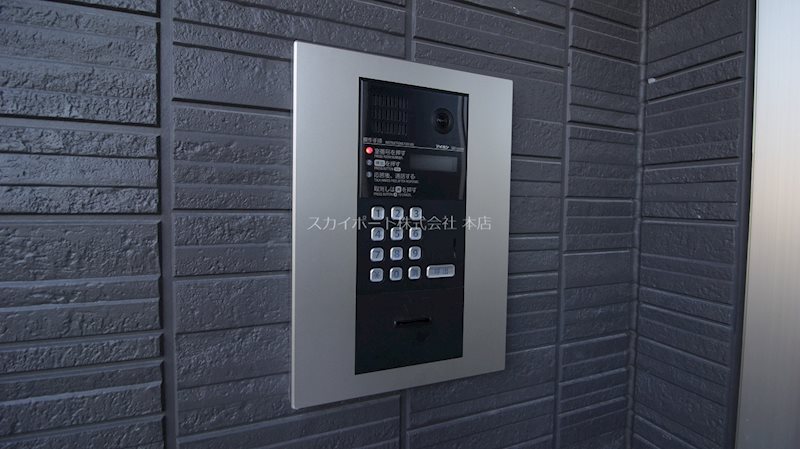 ロゼッタ初生 その他7