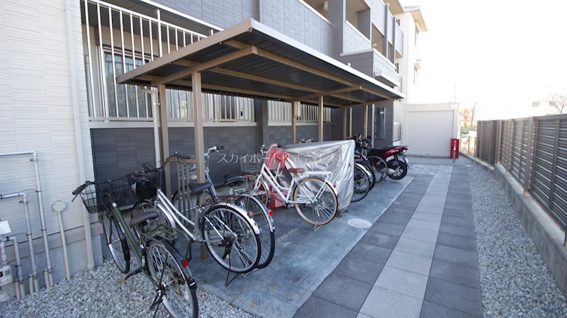 ロゼッタ初生 その他9