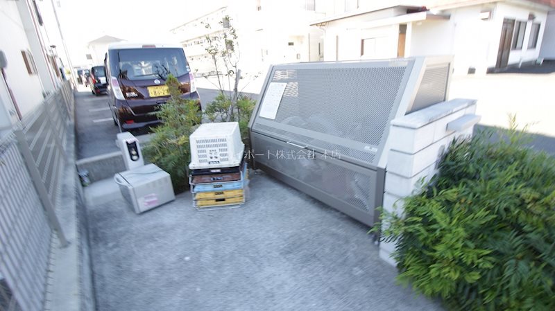 ロゼッタ初生 その他10