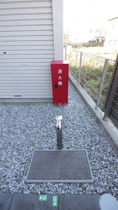 ロゼッタ初生 その他11