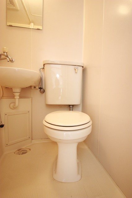 コーレイパームⅡ その他4