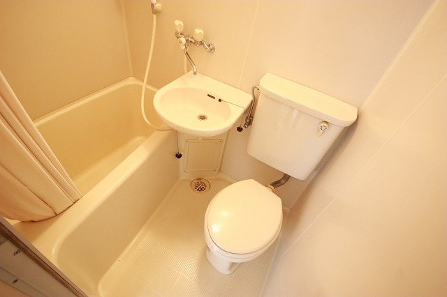 コーレイパームⅡ 風呂画像