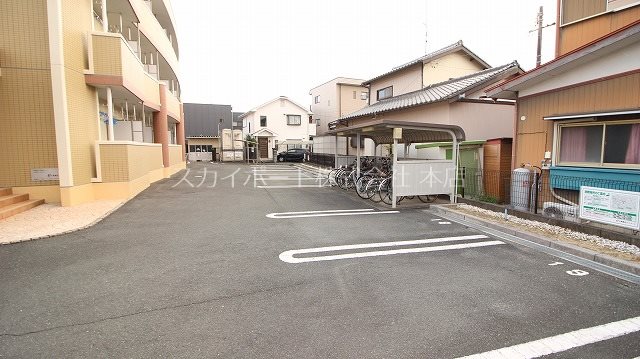 Gold M Kamo その他4