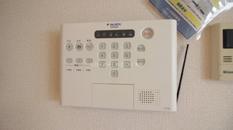 グリシーナA その他19