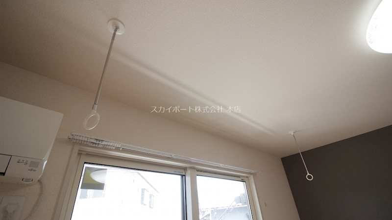 グリシーナA その他21