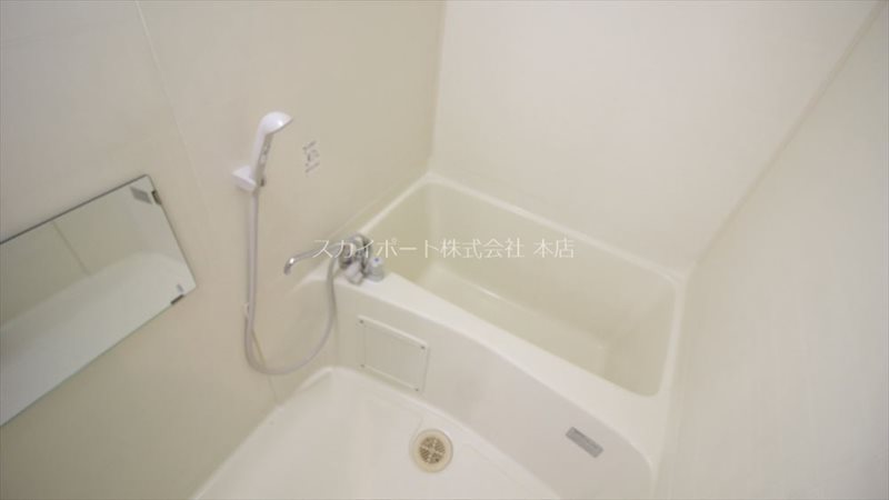 ダイヤモンド寿泉 風呂画像