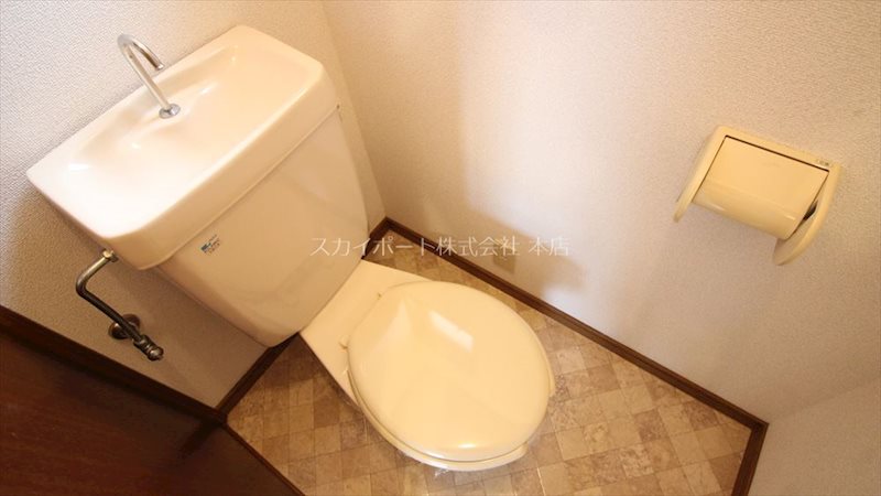 ヴィオレット葵 その他2