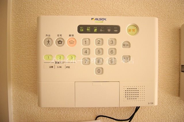 ALBA GLANDE B その他14