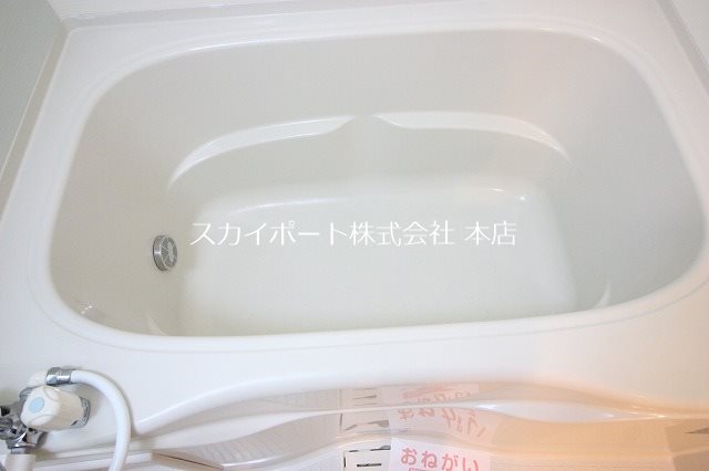 パラティーノ その他24