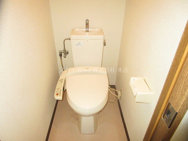 マスカット・Ｇ その他2