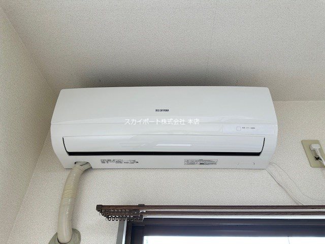プリムローズ その他1