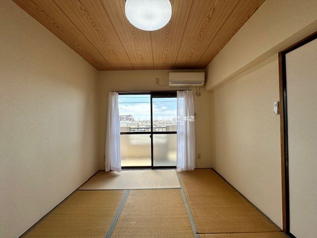 プリムローズ その他14