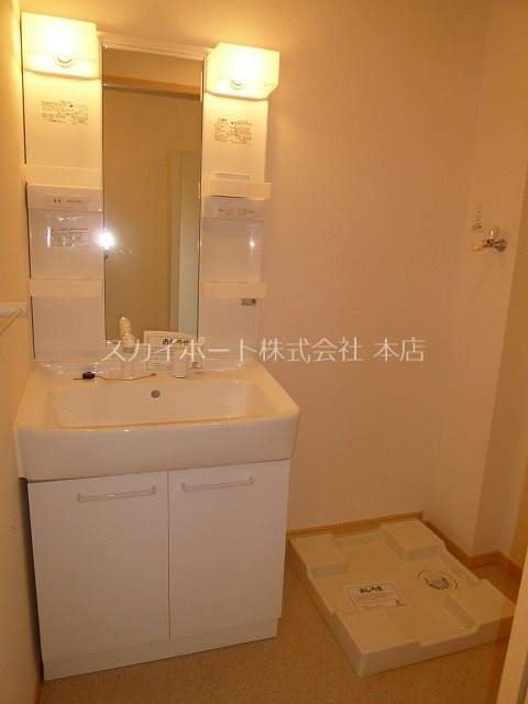 ハナミズキ その他1