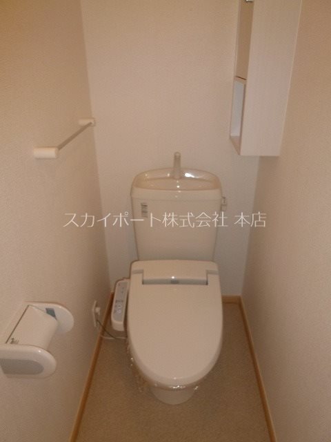 ハナミズキ その他2