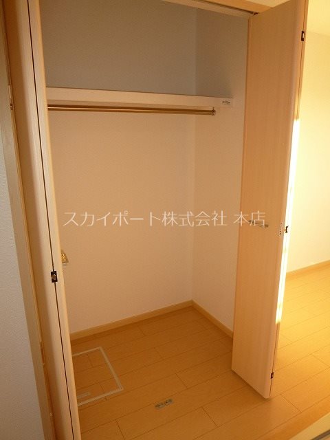 ハナミズキ その他3