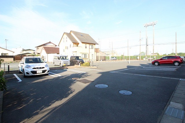 ハナミズキ その他4