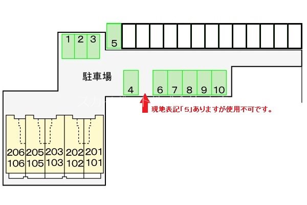 ハナミズキ その他6