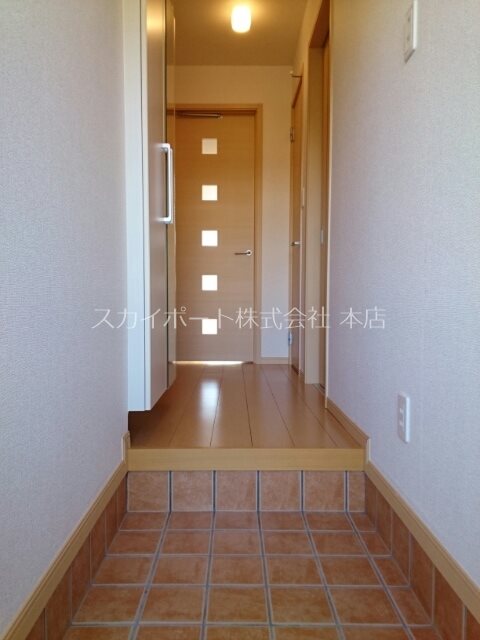 ハナミズキ 玄関