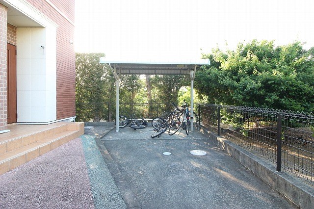 ハナミズキ その他7